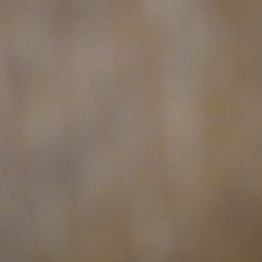 Лунара Лунара, 05.01.2010, Зайсан