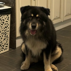 Вероника Помогайбо, 24.09.1971, Санкт-Петербург