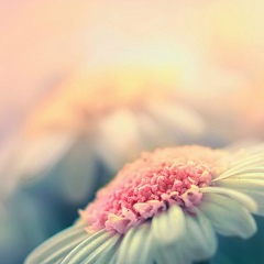 Маша Winter, 16.09