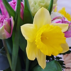 Шынар Куанышбек, 30.04, Астана