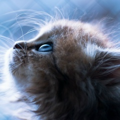 Елизавета Герус, Горно-Алтайск