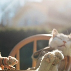 Александра Сергеева, 23.12, Санкт-Петербург