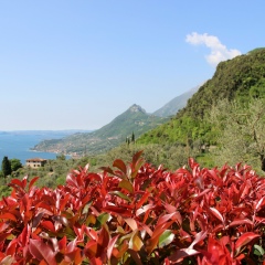 Елена Иванова, 09.10.1983, Липецк