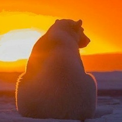 Наталья Лаврёнова, 25.11.1971, Одесса