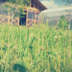 Натали Нименомайнен, 26.08.1987, Москва