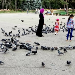 Нука Аджибаева, Алматы