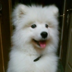 Равиль Назмеев, 04.04, Нижнекамск