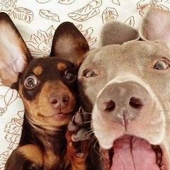 Аня Моргушко, 20.06