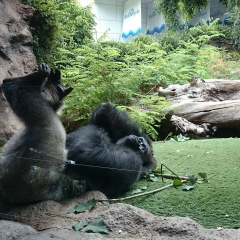 Дмитрий Чигарских, 22.07.1973