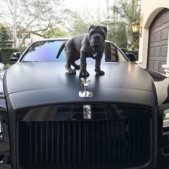 Жахит Кастет, 25.06, Алматы