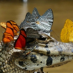 Дмитрий Олегович, 12.07, Москва