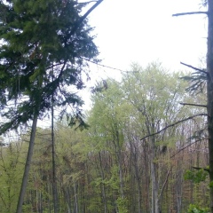 Владимир Тагашев, 01.08.1993, Киев