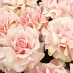 Жанна Багдатовна, 21.03, Алматы