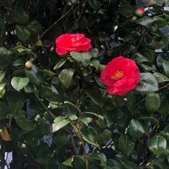 Екатерина Заманкова, 26.01.1982, Санкт-Петербург