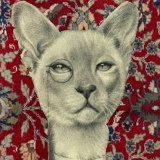 Даша Самойленко, 13.03.1990, Киев