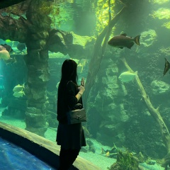 Эльгина Суранбаева, 24.01, Ош