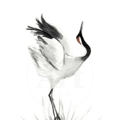 Виктория Владимировна, Санкт-Петербург