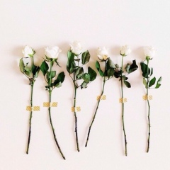 Инкар Мухан, 15.01.2001, Алматы