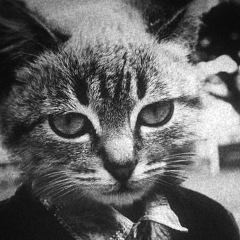 Ерлан Лесов, 04.09.1992, Астана