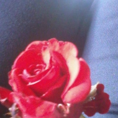 Ana Savic, 10.07.1990