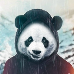 Бостан Кожабеков, 01.01, Алматы