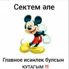 Nail Timirov, Нижнекамск