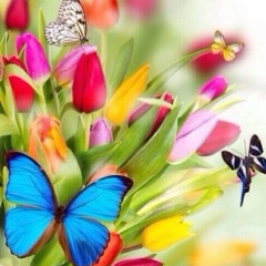 Victoria Kazakova, 24.03, Москва