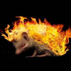 Villian Ebjik, 04.09, Санкт-Петербург