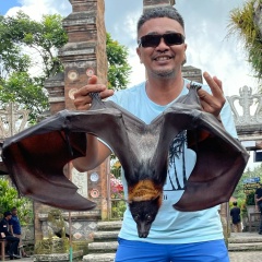 Li Na-Bali, 28.03.2008, Denpasar