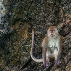 Kyaw Zaw, 28.03.1988, Singapore