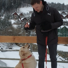 Евгений Целикин, Кишинев