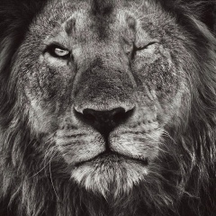 Мансур Юсупов, 17.05.1995, Москва