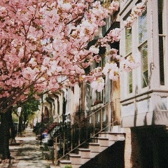 Гульдана Рахат, 17.01.1993, Алматы