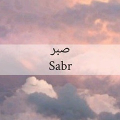 Шынар Рысакова, 28.11