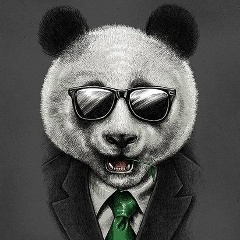 Старая Панда, 09.09, Санкт-Петербург