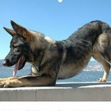 Макс Бородин, 10.03.2000, Горно-Алтайск