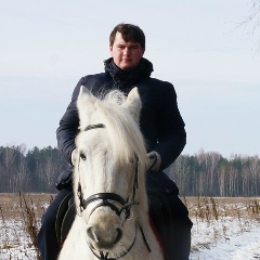 Николай Николаев, Минск