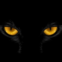 Юлия Быкова, 11.04, Москва