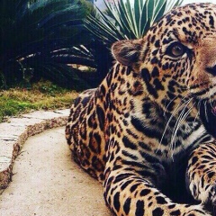 Ильхам Мисирханов, 14.06