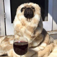 Евгений Кособицкий, 13.03.1994