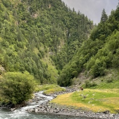 Период Полураспада, 19.10.1994, Budapest