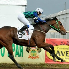 Залина Лигидова, 20.03, Нальчик