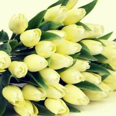 Лаура Жангазиева