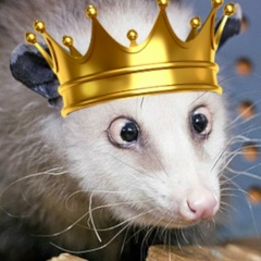 Евгений Пашкевич, 20.10.1988, Ростов-на-Дону