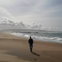 Сергей Шведченко, Ростов-на-Дону