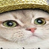 Александр Лобачев, Санкт-Петербург