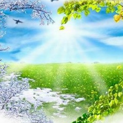 Анастасия Кривда, 23.08.1990, Одесса