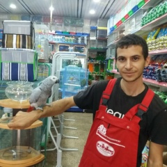 Salah Saada, 23.06.1992, Guelma