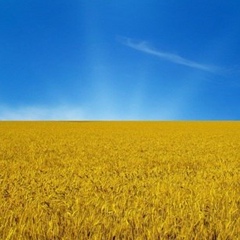 Мирослава Курин, 04.05.2000