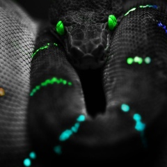 Малика Сулейменова, Астана